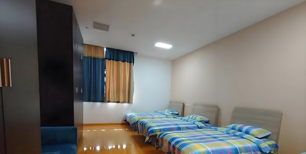 秧苗仙路